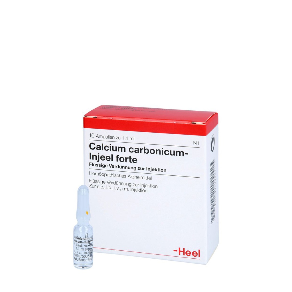 Calcium carbonicum-Injeel Forte, 10 x 1,1 ml