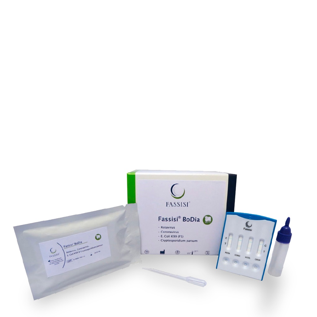 Fassisi Bodia, fæcestest til kalv