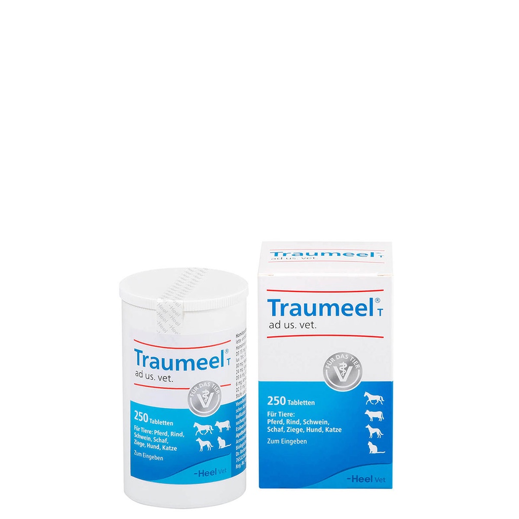 Traumeel T ad us. vet. tablet 250 stk