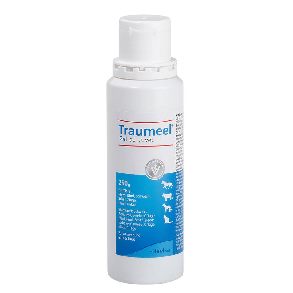 Traumeel gel 250 g