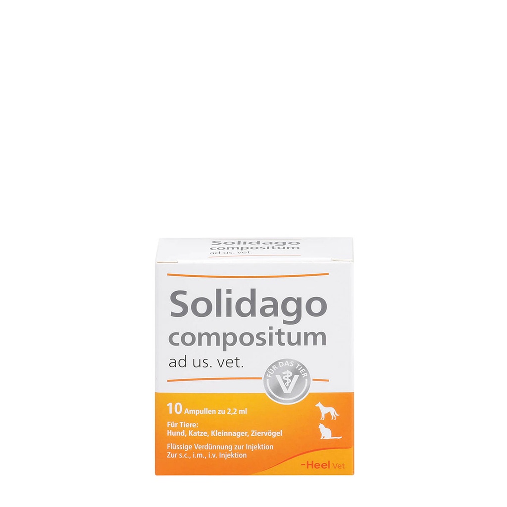 Solidago compositum ad us. vet. 10 x 2,2 ml