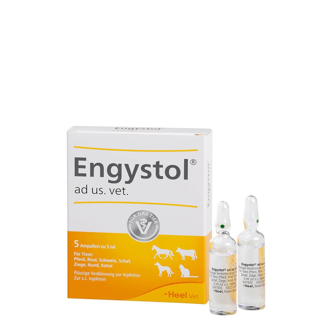 Engystol ad us. vet. 5 x 5 ml