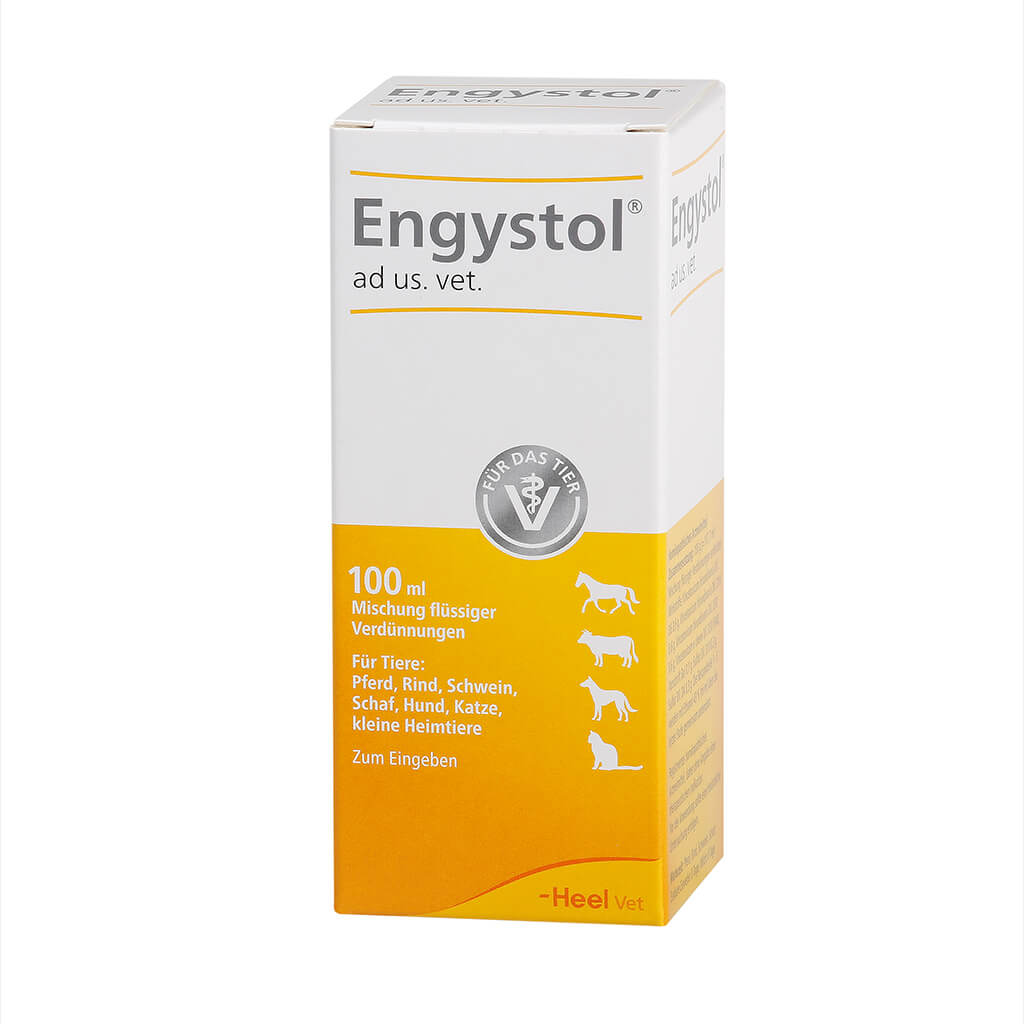 UDGÅET - Engystol ad us. vet. mikstur 100 ml