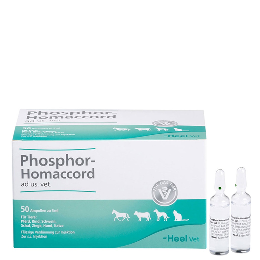 Phosphor-Homaccord ad us vet 50 x 5 ml
