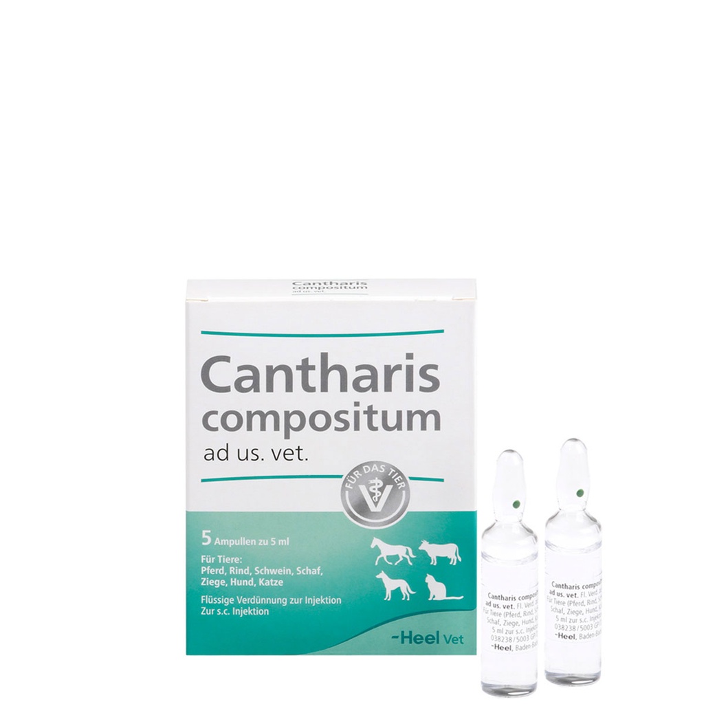 Cantharis Compositum ad us vet 5 x 5 ml