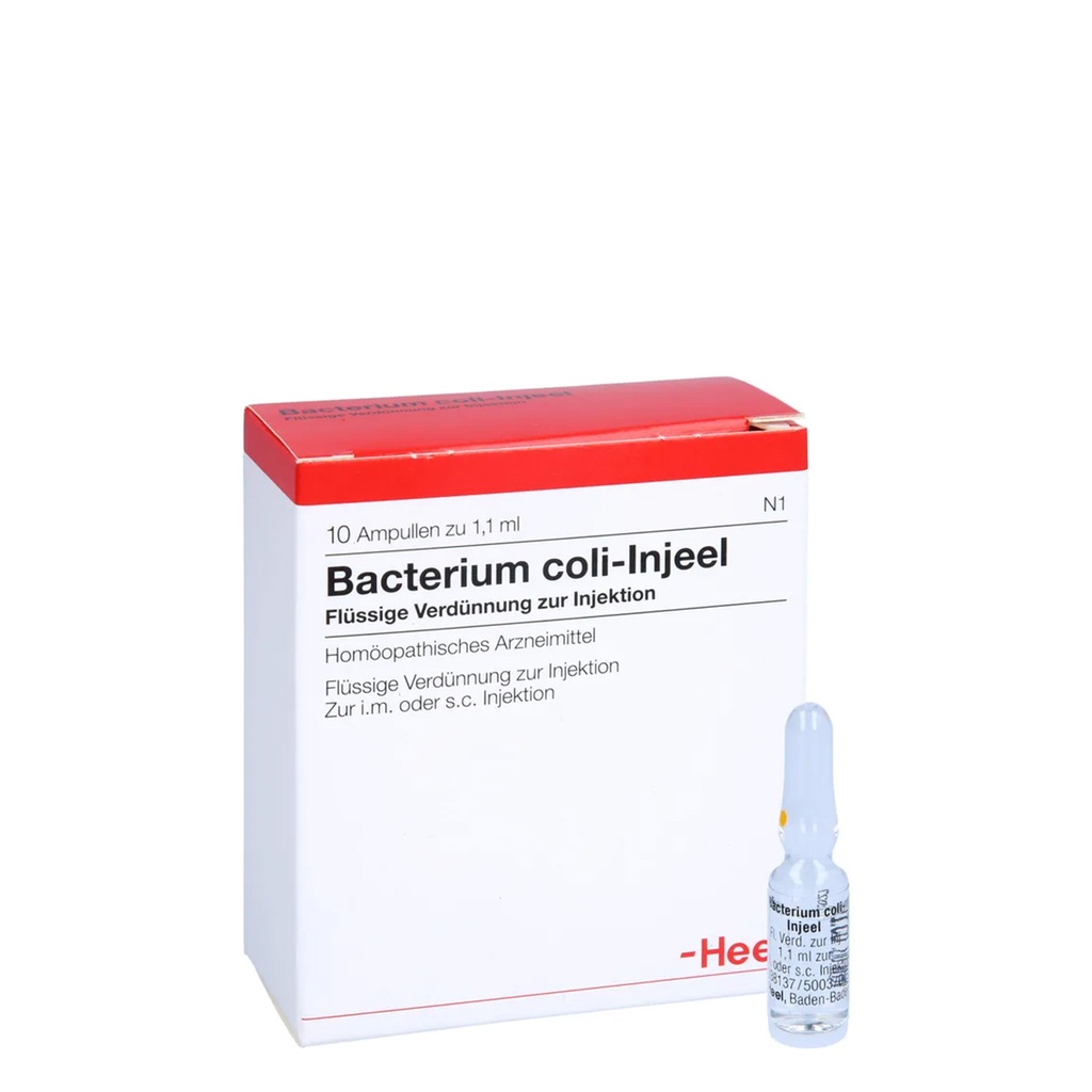 Bacterium Coli-Injeel 10 x 1,1 ml
