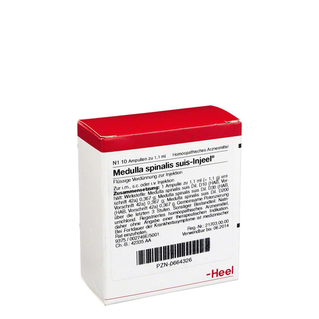 Medulla Spinalis Suis Injeel 10 x 1,1 ml