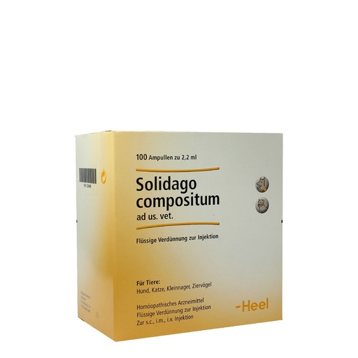 [35158] Solidago Compositum 100 x 2 ml